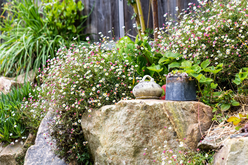 Espaces verts, gazon, Jardin d'Ambiance à Pleslin Trigavou